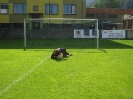 187  - Trening golmana - Igor Zbiljic