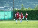 FC-Wacker-Innsbruck-2013-4