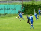 Nemanja-13