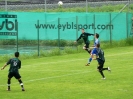 Nemanja-14