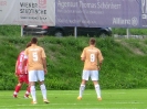 Nemanja-32