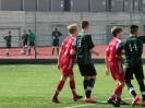Nemanja-3