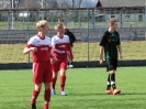 Nemanja-4
