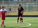 Nemanja-5
