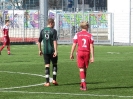 Nemanja-8