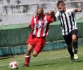 petar-stamatovic11