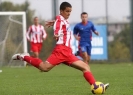 petar-stamatovic12