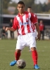 petar-stamatovic15