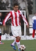 petar-stamatovic4