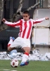 petar-stamatovic5