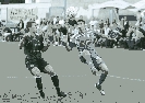 stefan_milenkovic23