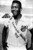 04 Pele